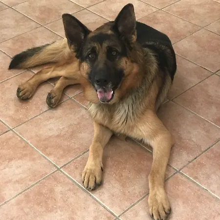 Le Fate Corbezzole 4* Romano D'Ezzelino